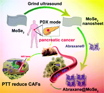 Graphical abstract: Photothermal augment stromal disrupting effects for enhanced Abraxane synergy chemotherapy in pancreatic cancer PDX mode