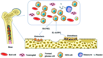 Graphical abstract: Advancements in nanotechnology for the diagnosis and treatment of multiple myeloma