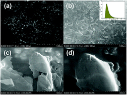 Graphical abstract: Liquid exfoliated biocompatible WS2@BSA nanosheets with enhanced theranostic capacity