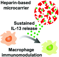 Graphical abstract: Heparin-based, injectable microcarriers for controlled delivery of interleukin-13 to the brain