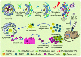 Graphical abstract: A vaccine for photodynamic immunogenic cell death: tumor cell caged by cellular disulfide–thiol exchange for immunotherapy