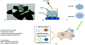 Graphical abstract: Nano-adjuvant based on silk fibroin for the delivery of recombinant hepatitis B surface antigen