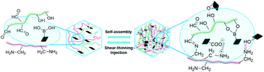 Graphical abstract: In situ formation of nanocomposite double-network hydrogels with shear-thinning and self-healing properties