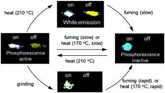 Graphical abstract: White-light emission from a pyrimidine–carbazole conjugate with tunable phosphorescence–fluorescence dual emission and multicolor emission switching
