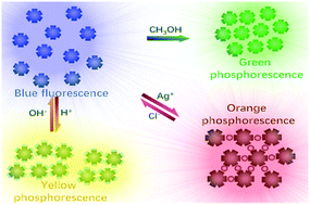 Graphical abstract: Fluorescence to multi-colored phosphorescence interconversion of a novel, asterisk-shaped luminogen via multiple external stimuli
