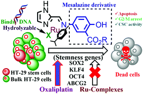 Graphical abstract: Inhibition of 3D colon cancer stem cell spheroids by cytotoxic RuII-p-cymene complexes of mesalazine derivatives