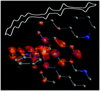 Graphical abstract: A heteroleptic diradical Cr(iii) complex with extended spin delocalization and large intramolecular magnetic exchange