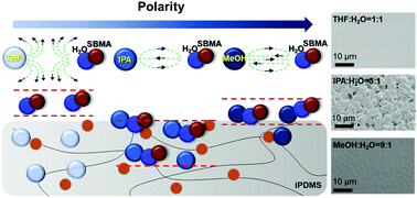Graphical abstract: Solvent-driven migration of highly polar monomers into hydrophobic PDMS produces a thick graft layer via subsurface initiated ATRP for efficient antibiofouling