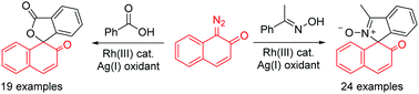 Graphical abstract: Rhodium(iii)-catalyzed synthesis of spirocyclic isoindole N-oxides and isobenzofuranones via C–H activation and spiroannulation