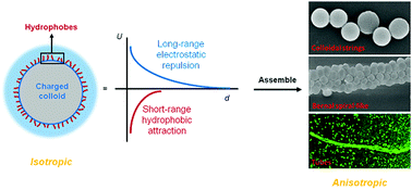 Graphical abstract: Self-assembly of isotropic colloids into colloidal strings, Bernal spiral-like, and tubular clusters