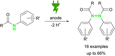 Graphical abstract: Electrochemical formation of N,N′-diarylhydrazines by dehydrogenative N–N homocoupling reaction