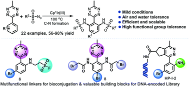 Graphical abstract: Iridium-catalyzed C–H amidation of s-tetrazines