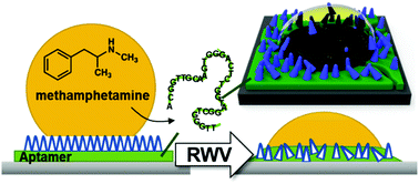 Graphical abstract: Wettability read-out strategy for aptamer target binding based on a recognition/hydrophobic bilayer surface