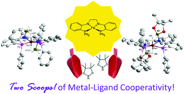Graphical abstract: Metal–ligand cooperativity across two sites of a square planar iron(ii) complex ligated by a tetradentate PNNP ligand