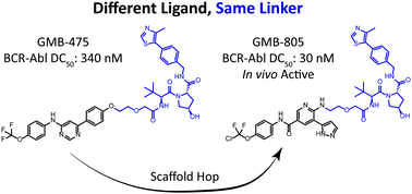 Graphical abstract: Scaffold hopping enables direct access to more potent PROTACs with in vivo activity