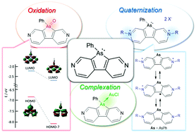 Graphical abstract: Dipyridinoarsole: a new class of stable and modifiable heteroatom-bridged bipyridines