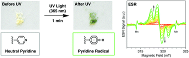 Graphical abstract: Facile light-initiated radical generation from 4-substituted pyridine under ambient conditions