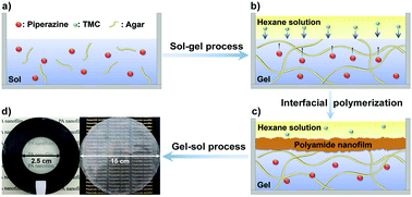 Graphical abstract: Polyamide nanofilms synthesized via controlled interfacial polymerization on a “jelly” surface