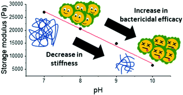 Graphical abstract: Tuning the antimicrobial activity of low molecular weight hydrogels using dopamine autoxidation