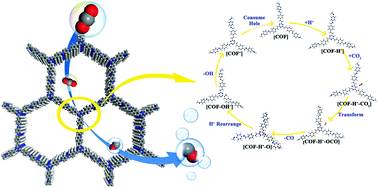 Graphical abstract: Synergetic effect of H+ adsorption and ethylene functional groups of covalent organic frameworks on the CO2 photoreduction in aqueous solution