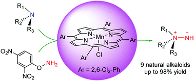 Graphical abstract: Direct preparation of unprotected aminimides (R3N+–NH−) from natural aliphatic tertiary alkaloids (R3N) by [Mn(TDCPP)Cl]-catalysed N-amination reaction