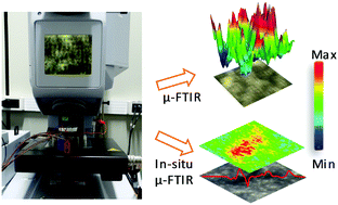 Graphical abstract: Recognizing conductive islands in polymeric redox surfaces using electrochemical-coupled vibrational spectromicroscopy