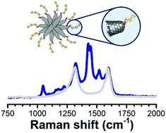 Graphical abstract: Microwave-assisted functionalization of carbon nanohorns with oligothiophene units with SERS activity