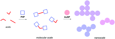 Graphical abstract: Visual discrimination of aromatic acid substitution patterns by supramolecular nanocooperativity
