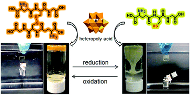 Graphical abstract: Heteropoly acid-driven assembly of glutathione into redox-responsive underwater adhesive