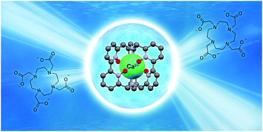 Graphical abstract: Unexpected discovery of calcium cryptates with exceptional stability