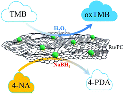 Graphical abstract: Uniformly distributed ruthenium nanocrystals as highly efficient peroxidase for hydrogen peroxide colorimetric detection and nitroreductase for 4-nitroaniline reduction