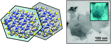 Graphical abstract: First exfoliated Ru–Ru–Au organometallic polymer with layered structure