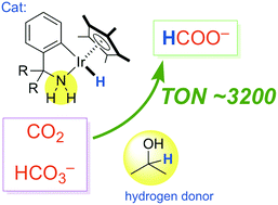 Graphical abstract: Transfer hydrogenation of carbon dioxide via bicarbonate promoted by bifunctional C–N chelating Cp*Ir complexes