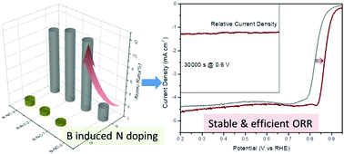 Graphical abstract: N-Rich hetero-porous defective carbon induced by trace B-doping enables efficient oxygen reduction
