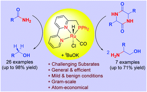 Graphical abstract: Selective hydrogenation of primary amides and cyclic di-peptides under Ru-catalysis