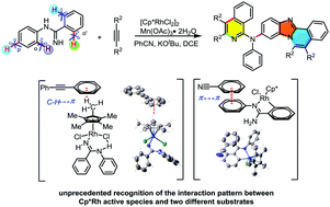 Graphical abstract: Rhodium-catalyzed multiple C–H activation/highly meta-selective C–H amination between amidines and alkynes