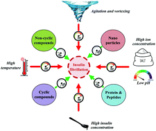 Graphical abstract: Insulin fibrillation: toward strategies for attenuating the process