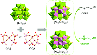 Graphical abstract: Self-assembly of polyoxovanadate-capped polyoxoniobates and their catalytic decontamination of sulfur mustard simulants