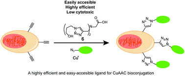 Graphical abstract: An efficient and easily-accessible ligand for Cu(i)-catalyzed azide–alkyne cycloaddition bioconjugation