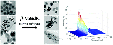 Graphical abstract: Ho3+–Yb3+ doped NaGdF4 nanothermometers emitting in BW-I and BW-II. Insight into the particle growth intermediate steps