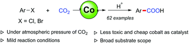 Graphical abstract: Cobalt-catalyzed carboxylation of aryl and vinyl chlorides with CO2