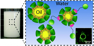 Graphical abstract: A cyclodextrin surfactant for stable emulsions with an accessible cavity for host–guest complexation