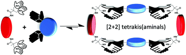 Graphical abstract: Spontaneous macrocyclization through multiple dynamic cyclic aminal formation