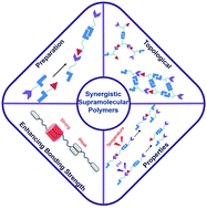 Graphical abstract: The recent progress of synergistic supramolecular polymers: preparation, properties and applications