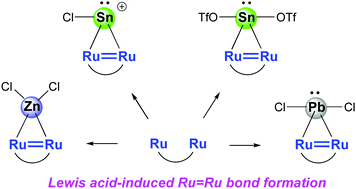 Graphical abstract: Metal–metal multiple bond formation induced by σ-acceptor Lewis acid ligands