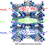 Graphical abstract: An ultra-stable hafnium phosphonate MOF platform for comparing the proton conductivity of various guest molecules/ions