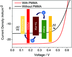 Graphical abstract: Ultrathin polymethylmethacrylate interlayers boost performance of hybrid tin halide perovskite solar cells