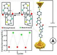 Graphical abstract: Modulation of charge transport through single-molecule bilactam junctions by tuning hydrogen bonds
