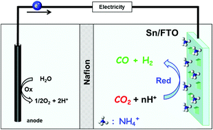 Graphical abstract: Ammonium ion-promoted electrochemical production of synthetic gas from water and carbon dioxide on a fluorine-doped tin oxide electrode