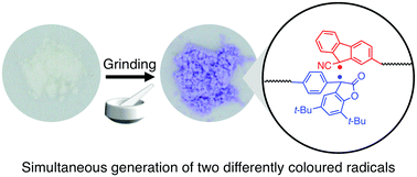 Graphical abstract: Non-symmetric mechanophores prepared from radical-type symmetric mechanophores: bespoke mechanofunctional polymers